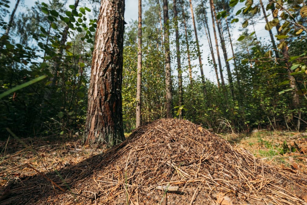 Web de Noticias para Empresas